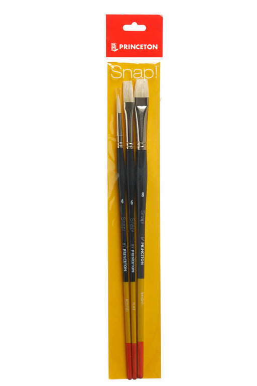 Princeton Snap! Natural Hog Bristle Long Handle Brush Set 3 - ArtStore Online