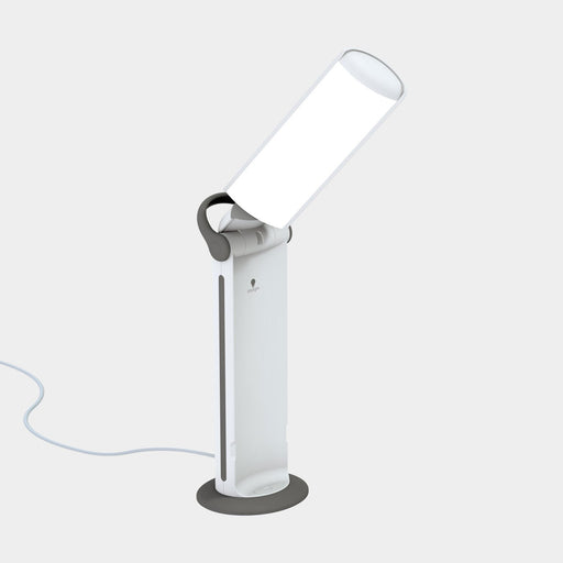 Daylight Twist 2 Table Lamp - ArtStore Online