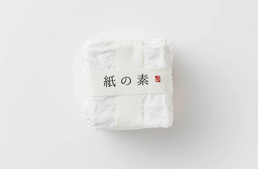 Awagami Japanese Paper Making Kit - ArtStore Online