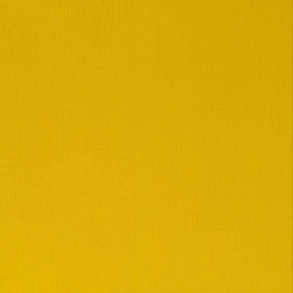 Winsor & Newton Professional Acrylic Paint 60ml