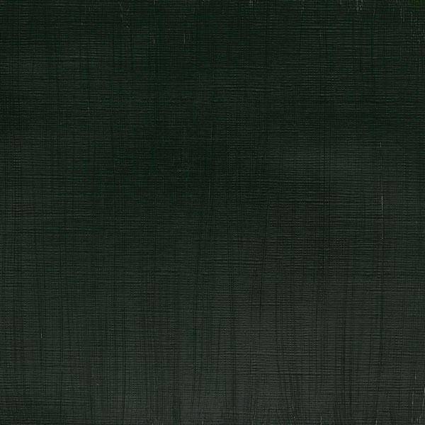 Winsor & Newton Professional Acrylic Paint 60ml