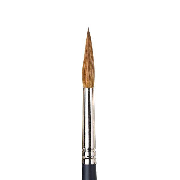 Winsor & Newton Professional Watercolour Sable Point Round Brushes - ArtStore Online