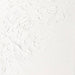 Winsor & Newton Artist Oil Paint 37ml (Neutrals & Metallics) - ArtStore Online