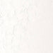 Winsor & Newton Winton Oil Paints 200ml - ArtStore Online
