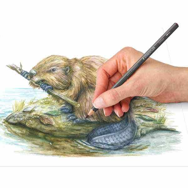 STAEDTLER Tinted Watercolour Pencil Set - ArtStore Online