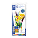 STAEDTLER Acrylic Paint Sets - ArtStore Online
