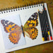 Posca Colour Pencil Set - ArtStore Online