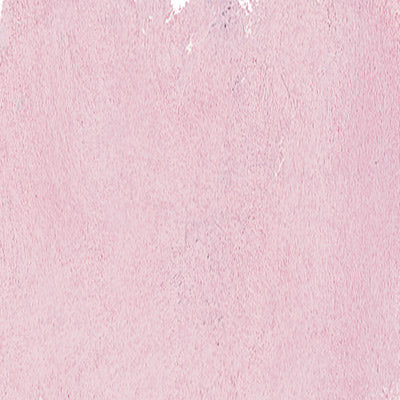 Art Spectrum Soft Pastels (Pinks to Purples) - ArtStore Online