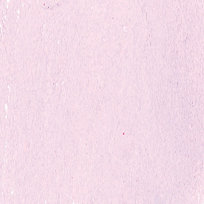 Art Spectrum Soft Pastels (Pinks to Purples) - ArtStore Online