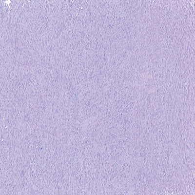 Art Spectrum Soft Pastels (Pinks to Purples) - ArtStore Online