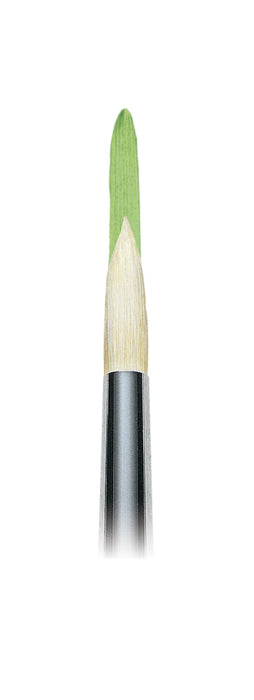 Winsor & Newton Winton Hog Brush Set 3 - ArtStore Online