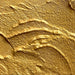 Liquitex Ceramic Stucco Texture Gel - ArtStore Online