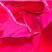 Liquitex Gloss Gel Medium - ArtStore Online