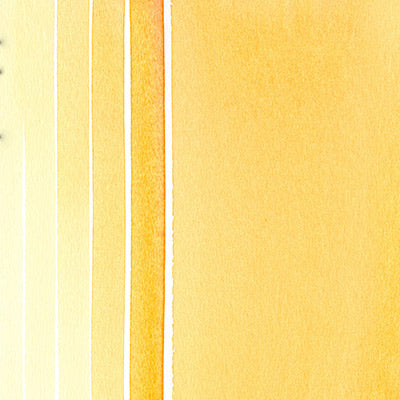 Daniel Smith Extra Fine Watercolour Paints 15ml (Yellows, Oranges & Browns) - ArtStore Online