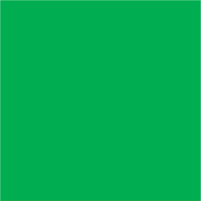 Lefranc Bourgeois Flashe Vinyl Paints 125ml - ArtStore Online