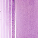 Daniel Smith Watercolour Paints 15ml (Reds & Violets) - ArtStore Online