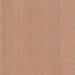 Art Spectrum Artist Oil Paint 40ml - ArtStore Online
