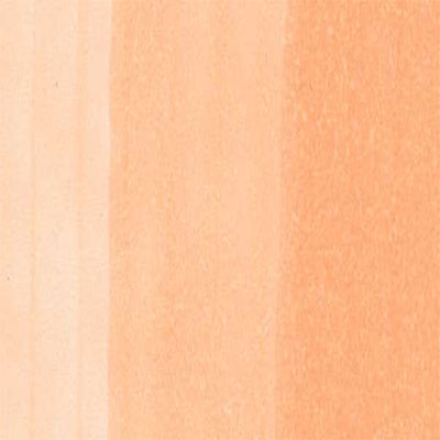 Copic Inks (Earth Tones) - ArtStore Online