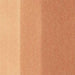 Copic Inks (Earth Tones) - ArtStore Online