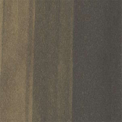 Copic Inks (Earth Tones) - ArtStore Online