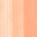 Copic Inks (Earth Tones) - ArtStore Online