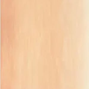 Kuretake Gansai Tambi Individual Pans - ArtStore Online